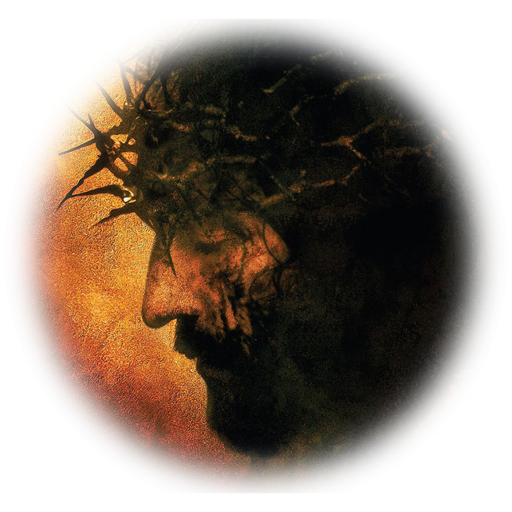 christ thorns