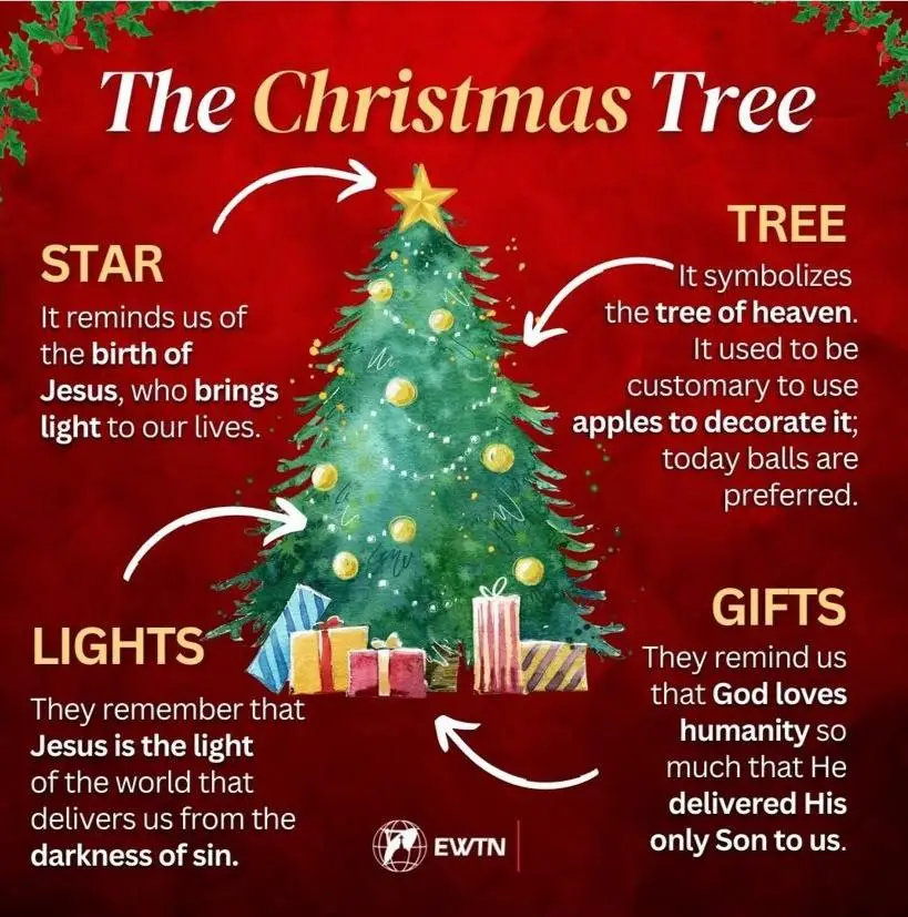 The True Symbolic Meaning Behind The Christmas Tree - What's The Significance for Catholics 